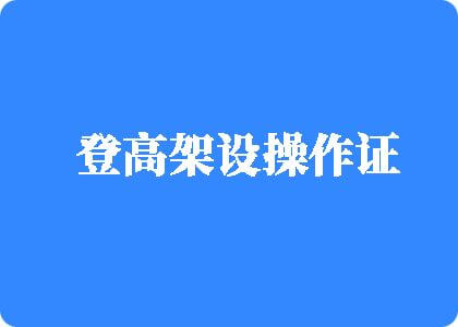 把鸡巴插进骚逼视频观看登高架设操作证